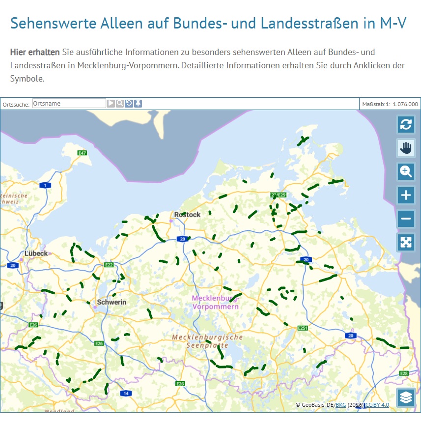 Logo: Sehenswerte Alleen auf Bundes- und Landesstraßen in M-V